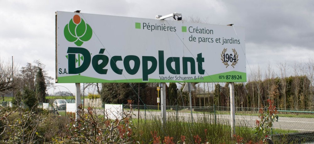 Logo Decoplant