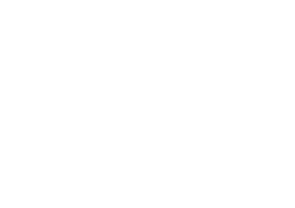 website.apik